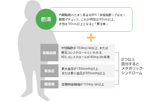 メタボリック診断イメージ図