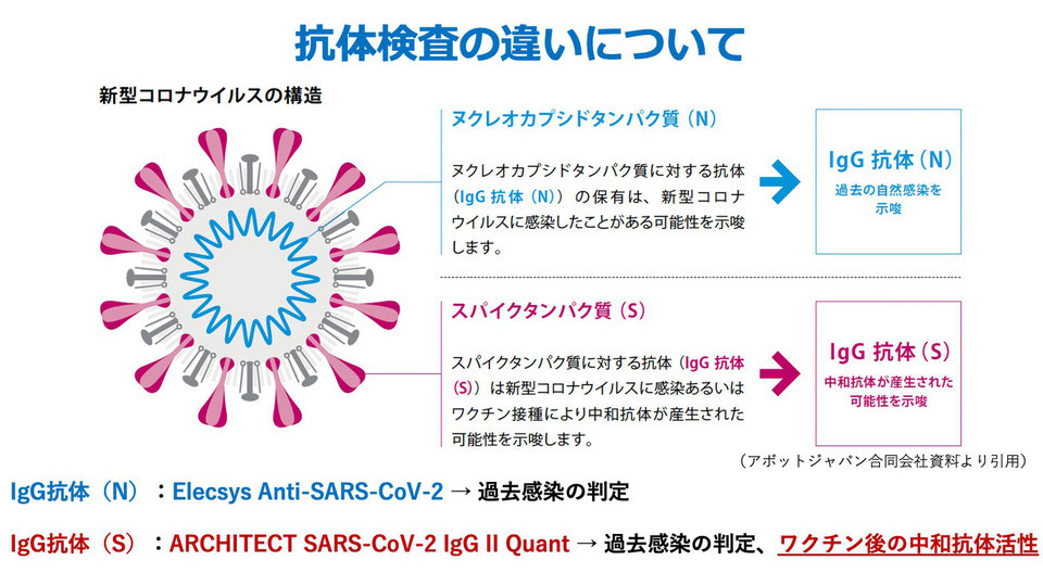 抗体検査の違いについて