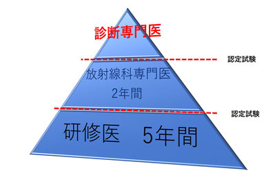 放射線診断専門医についての図