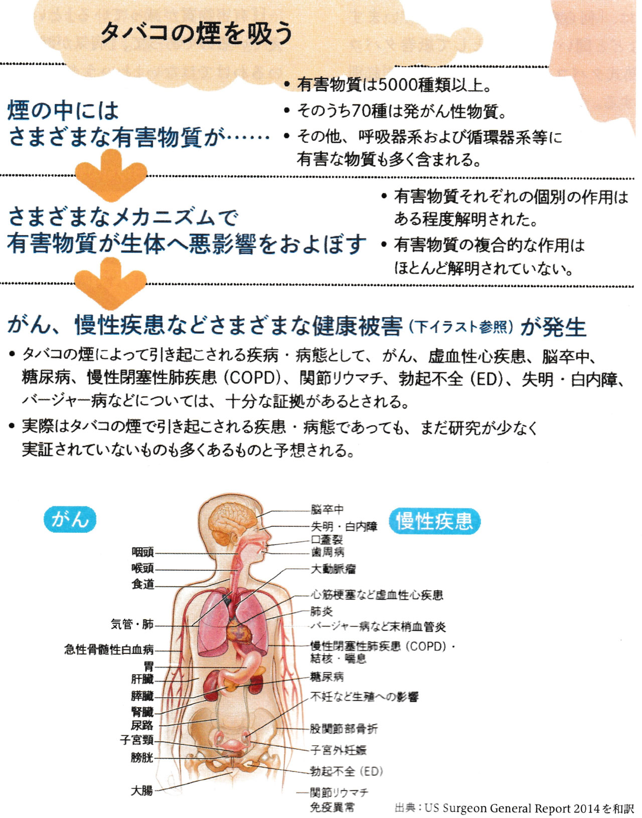 喫煙時のリスク